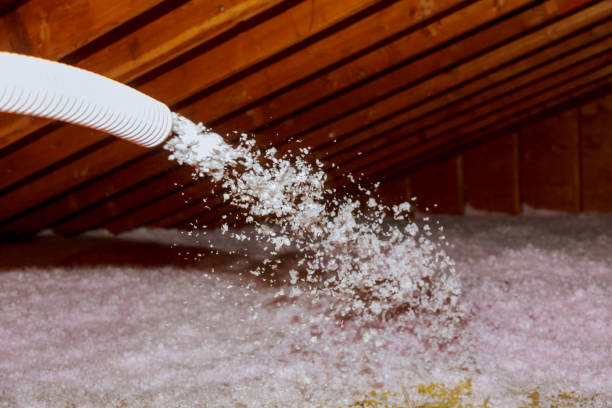 Best Cellulose Insulation in Dawson, GA