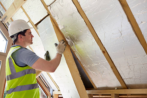 Best DIY Insulation Kits and Guidance in Dawson, GA