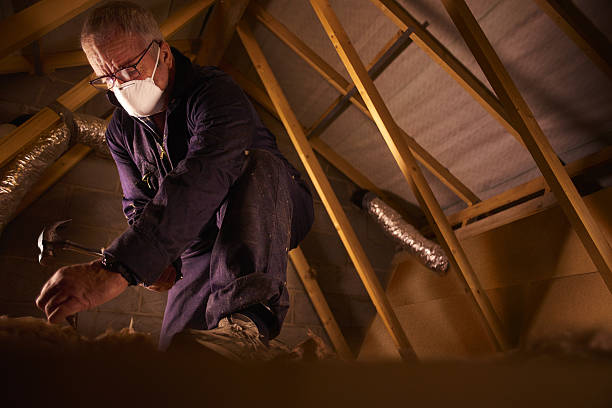 Best Specialized Insulation Services in Dawson, GA