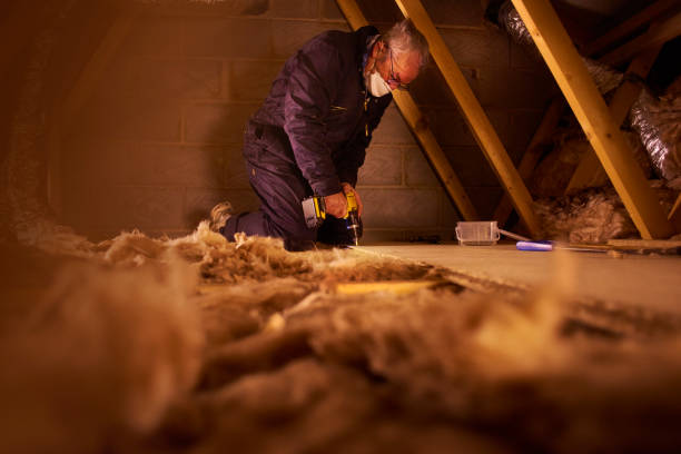 Best Geographic-Specific Insulation Services in Dawson, GA